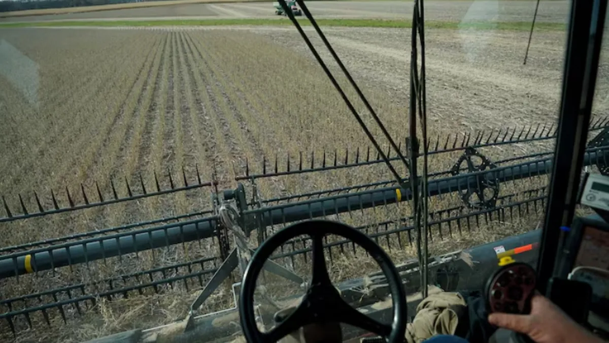 The delayed harvest of soybeans in the United States has led to a rush to purchase