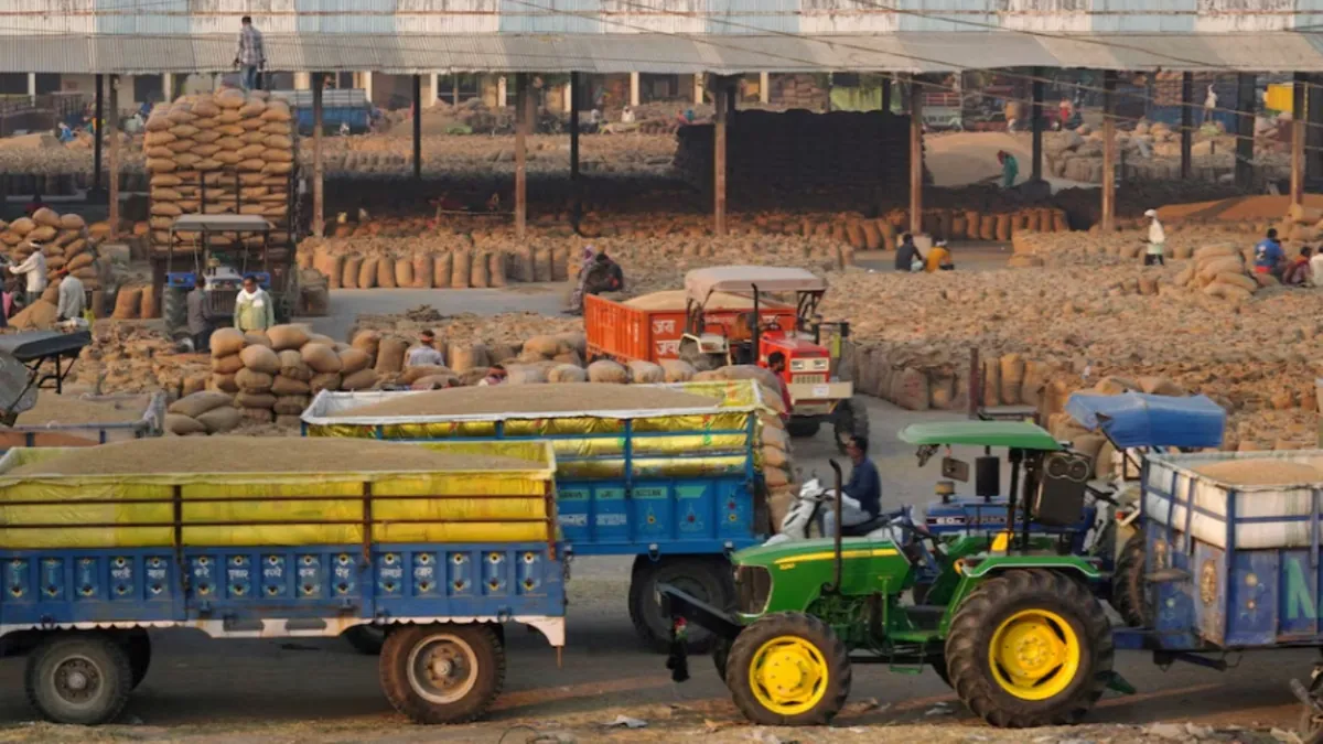 The significant reduction in rice production in India has impacted supply